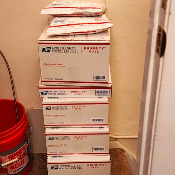 Meet your Posher, Ashley & Kevin - Picture 6 of 12